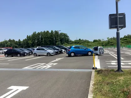 كازينو سبايس بينغو تطبيق الهاتف المحمول